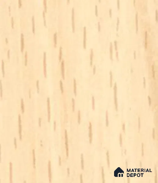 169P White Beech 22 x 0.8 mm Decor HGL+ Finish Edgeband - 0.8 mm