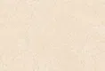 Warm Beige