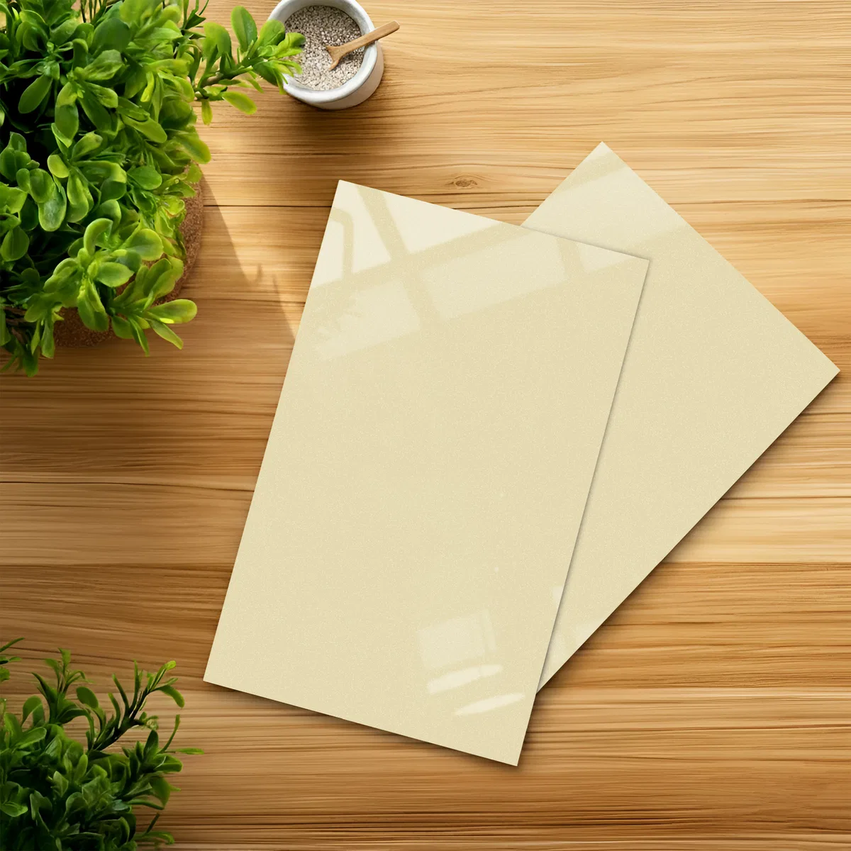 Cream Solid Colors look 2BBR 8050 A 8 | Material Depot