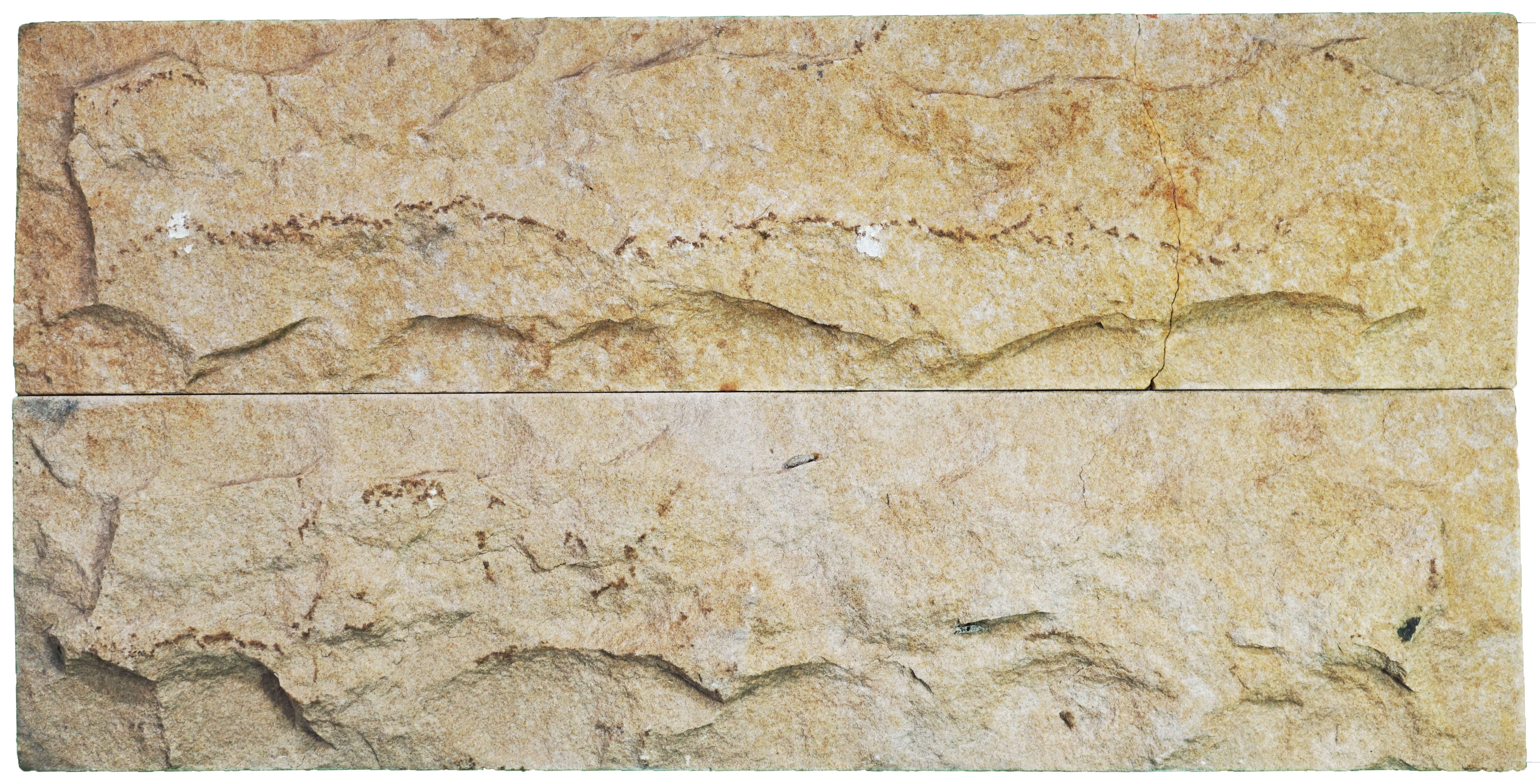 WL 00149 Planco Gold 600 x 150 mm Natural Stone Wall Cladding | Stone is a Natural Product, Please Expect Variation in Shades