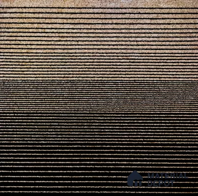 DT 604 Orchid Series 50 cm x 50 cm Carpet Tile   5 mm