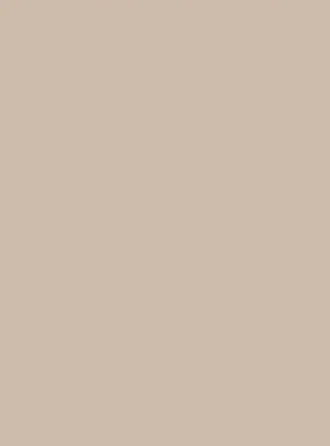 Material Depot laminates in bangalore - high quality image of a 3855 SMT Brown Decorative Laminate with Super Matte finish