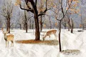 TL 01635 C Highlighter 2 Snow White & Brown 18 x 12 inch Glossy Finish Ceramic Wall Tile - 6 mm | Image 01
