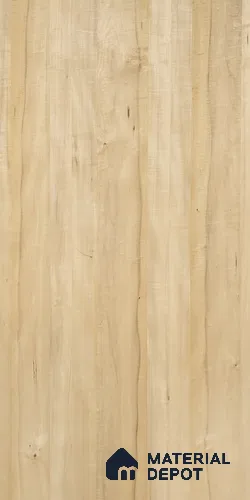 Steam Sycamore 8 ft x 4 ft Natural Veneer - 3.7 mm