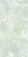Seafoam Green