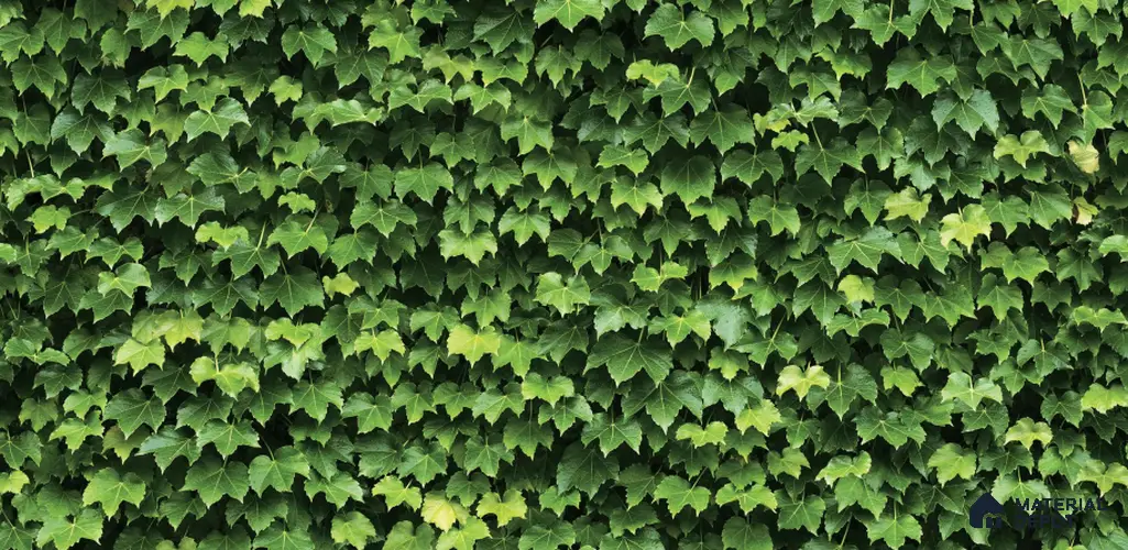 Summer_88422-1 | 5 Meter x 42 Inches Nature Look Wallpaper - 57.41 Sq. Ft. | Minimum 15% wastage during installation