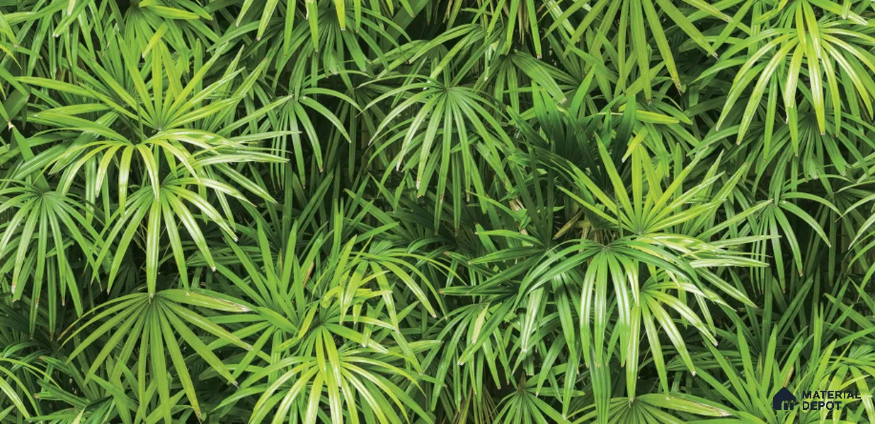 Tropical_88425-1 | 5 Meter x 42 Inches Nature Look Wallpaper - 57.41 Sq. Ft. | Minimum 15% wastage during installation