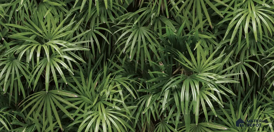 Tropical_88425-2 | 5 Meter x 42 Inches Nature Look Wallpaper - 57.41 Sq. Ft. | Minimum 15% wastage during installation
