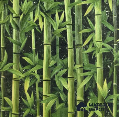 170-54 | 9.6 Meter x 20.87 Inches Nature Look Wallpaper - 54.77 Sq. Ft. | Minimum 15% wastage during installation