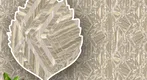 A close-up of a220314 | 10 Meter x 21 Inches Abstract Look Wallpaper - 57 Sq. Ft. available at Material Depot in Bangalore