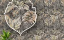 A close-up of a220357 | 10 Meter x 21 Inches Patterned Look Wallpaper - 57 Sq. Ft. available at Material Depot in Bangalore