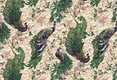 A close-up of a23816 | 10 Meter x 21 Inches Animal Print Look Wallpaper -57.41 Sq. Ft.  available at Material Depot in Bangalore