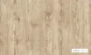 A close-up of a3917-2 | 5 Meter x 42 Inches Wood Look Wallpaper -57.41 Sq. Ft. available at Material Depot in Bangalore