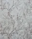 A close-up of a6006 | 10 Meter x 21 Inches Florals Look Wallpaper - 57 Sq. Ft. available at Material Depot in Bangalore