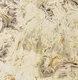 A close-up of aAMBL23430 | 10 Meter x 21 Inches Abstract Look Wallpaper - 57 Sq. Ft. available at Material Depot in Bangalore