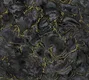 A close-up of aAMSM22555 | 10 Meter x 21 Inches Marble Look Wallpaper - 57.41 Sq. Ft.  available at Material Depot in Bangalore
