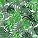 A close-up of aN4-2 | 10 Meter x 21 Inches Florals Look Wallpaper - 57.41 Sq. Ft.  available at Material Depot in Bangalore