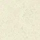 A close-up of aPAR1504 | 10 Meter x 21 Inches Texture Look Wallpaper - 57.41 Sq. Ft.  available at Material Depot in Bangalore