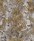 A close-up of aWK120-11 | 10 Meter x 21 Inches Patterned Look Wallpaper - 57 Sq. Ft. available at Material Depot in Bangalore