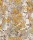 A close-up of aWK120-8 | 10 Meter x 21 Inches Patterned Look Wallpaper - 57 Sq. Ft. available at Material Depot in Bangalore