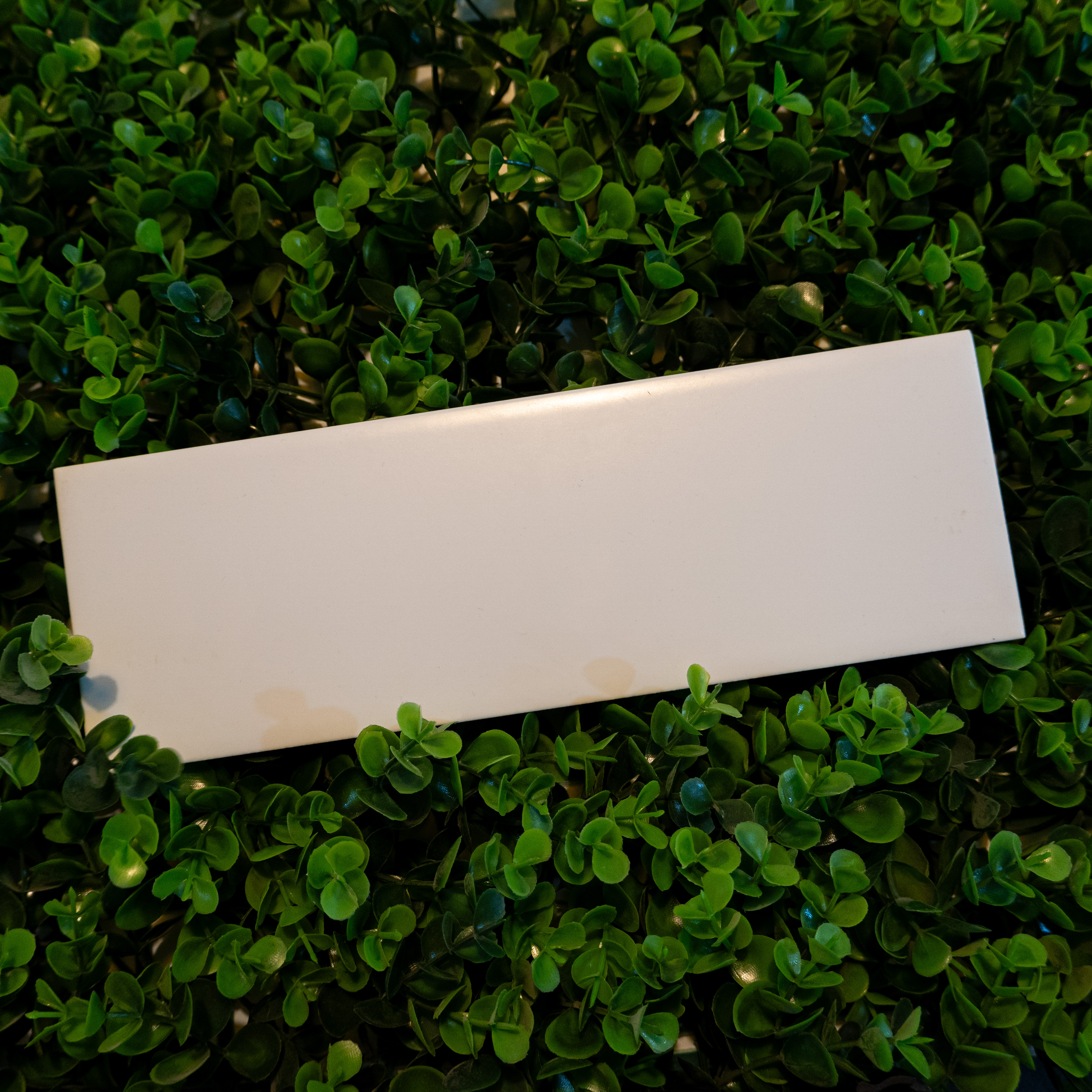 TL 00000 D Snow White Plain 300x100 mm Glossy Finish Ceramic Wall  Subway Tile - 8 mm