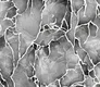 5D1092 | 9.5 Meter x 21 Inch PVC Marble Look Wallpaper - 55 Sq. Ft. Image 01