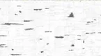 81279-2 | 5 Meter x 42 Inch PVC Patterned Look Wallpaper - 57 Sq. Ft. Image 01