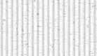 81280-1 | 5 Meter x 42 Inch PVC Patterned Look Wallpaper - 57 Sq. Ft.  Image 01