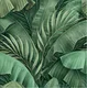 AA100207 | 9.5 Meter x 21 Inch PVC Florals Look Wallpaper - 55 Sq. Ft.  Image 01