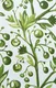 CC2228-2 | 10 Meter x 21 Inch  Florals Look Wallpaper - 57 Sq. Ft.  Image 01
