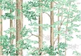 FE502-1 | 10 Meter x 21 Inch PVC Tropical Look Wallpaper - 57 Sq. Ft.  Image 01