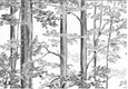 FE502-2 | 10 Meter x 21 Inch PVC Tropical Look Wallpaper - 57 Sq. Ft. Image 01