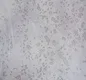 RD2604 | 10 Meter x 21 Inch PVC Texture Look Wallpaper - 57 Sq. Ft. Image 01