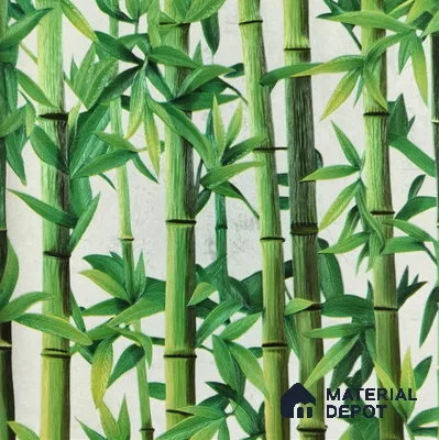 WP-1418 | 9.5 Meter x 21 Inches Tropical Look Wallpaper - 54 Sq. Ft.  | Minimum 15% wastage during installation