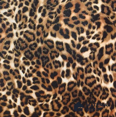 WP-1446 | 9.5 Meter x 21 Inches Patterned Look Wallpaper - 54 Sq. Ft.  | Minimum 15% wastage during installation