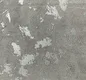 Z1000-8 | 10 Meter x 21 Inch PVC Texture Look Wallpaper - 57 Sq. Ft. Image 01