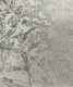 Z1004-4 | 10 Meter x 21 Inch PVC Texture Look Wallpaper - 57 Sq. Ft. Image 01