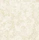A close-up of a 10320-4 | 17ft x 3.5 ft (42 Inches) Florals Look Wallpaper - 59 Sq. Ft. available at Material Depot in Bangalore