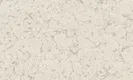 A close-up of a 10321-3 | 17ft x 3.5 ft (42 Inches) Patterned Look Wallpaper - 59 Sq. Ft. available at Material Depot in Bangalore