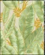 KA 7002 | 10 Meter x 20.86 Inches Florals Look PVC Wallpaper - 56.94 Sq. Ft Image 01