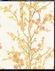 KA 7019 | 10 Meter x 20.86 Inches Florals Look PVC Wallpaper - 56.94 Sq. Ft Image 01