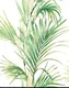 KA 7030 | 10 Meter x 20.86 Inches Florals Look PVC Wallpaper - 56.94 Sq. Ft Image 01