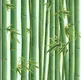 KA 7058 | 10 Meter x 20.86 Inches Nature Look PVC Wallpaper - 56.94 Sq. Ft Image 01