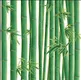 KA 7059 | 10 Meter x 20.86 Inches Nature Look PVC Wallpaper - 56.94 Sq. Ft Image 01