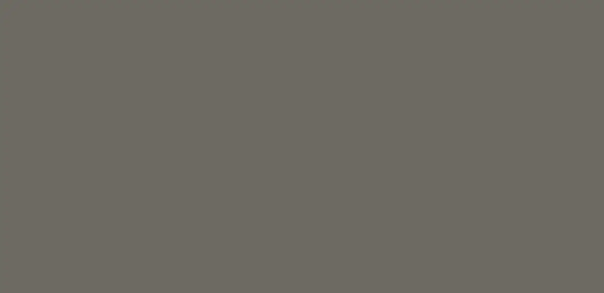 VA103 5 Star Metallic & Solid Colours Series Champagne Silver 8 ft x 4 ft ACP Panel - 3 mm