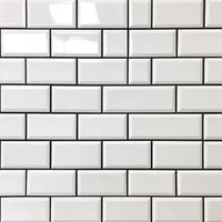 1 ft x 4 inch Subway Tiles