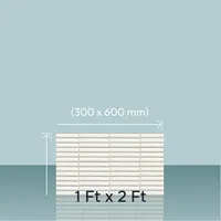 2 ft x 1 ft Bathroom Tiles