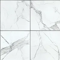 2ft x 2ft Marble Tiles