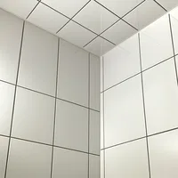 2x2 feet Plain Tiles