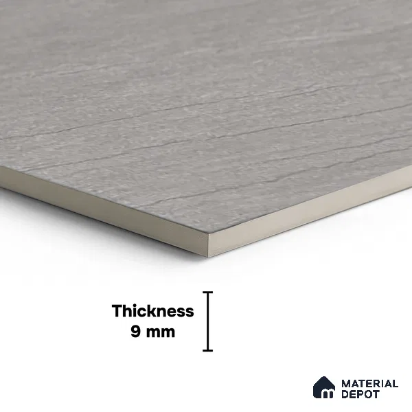 TL 07978 B Brave Dolphin 4 ft x 2 ft Matte Finish GVT Vitrified Tile - 9 mm